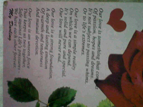 JanMaluleka's profile picture. 