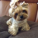 Avon Jackson - @JacksonAvon - Twitter