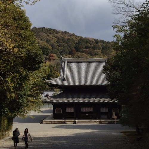 ただ日常の些事に埋もれながら、ときにしたしたと小雨に濡れる苔に見入りつつ、銀河の星屑らしく、ただ光の海に拡散してゆくことを願うのみ

下鴨神社 高桐院 真如堂 くるり シオン Tricot Radiohead Sigur ros U2 利休 蕪村