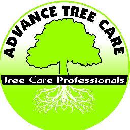 The Tree Care Professionals