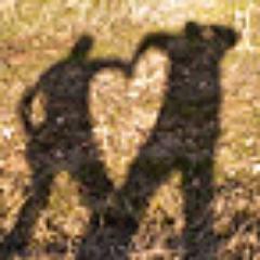 ZeloPhotography's profile picture. Zelo Photography - Modern Wedding & Portrait Photography Available Throughout San Diego, California & Across the United States