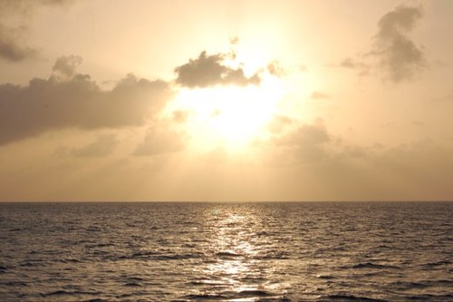 JaneBrinker's profile picture. 