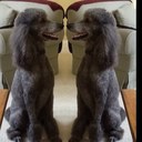 Mindy Reed - @MindyReed4 - Twitter