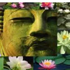 devayanaholist's profile picture. La Tienda Holística de Venezuela. Empresa dedicada a la Distribución de Productos 100% orgánicos, Artesanales y EcoAmigables para la Belleza física y Espiritual