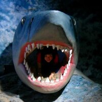 Dol,z (@lydol) 's Twitter Profile