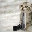 Jodi Ouellette - @JodiOMG - Twitter