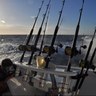josedeVeer's profile picture. Ing.Mecanico, Amante de la pesca de Altura y del Jazz . Mechanic Enginer , Lover of Salt Water Fishing and Jazz Music.
