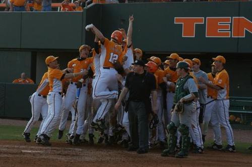volsbaseball's profile picture. 