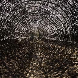 PromoterG55's profile picture. 