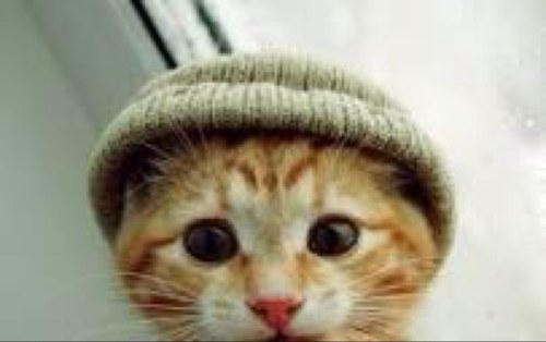 swagallday_cool's profile picture. If only swag was a vegitable so I could eat it.