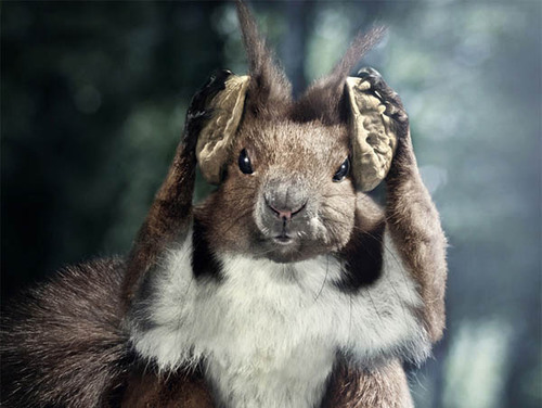 Just your average pissed squirrel.