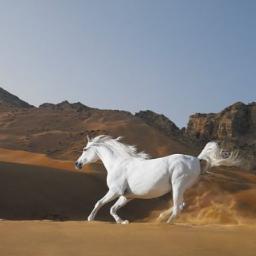 احب التدين بعيدا عن الغلو والتطرف واتطلع الى اﻻبداع في مجاﻻت الحياه للوصول ﻻهدافي واميل للهدوء والعزله احيانا لترتيب افكاري ومعالجه اخطائي