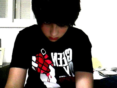 Green Day,Sex Pistols,Blink 182,Sum 41 e Ramones