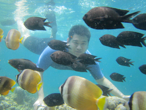 Agen boat jelajah bunaken CALL 081244984844/BB 26157AAC