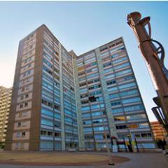 ParqueSnAntonio Profile