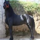armand (@11Lazcano) Twitter