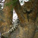 Terence DSouza - @TerenceDSouza1 - Twitter