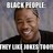 BlackBlackjokes's profile image
