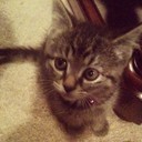 Devin Garrett - @DevinGarrett275 - Twitter