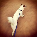 Mason Rodger - @MasonRodger622 - Twitter