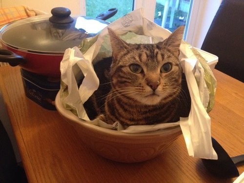 hel19820's profile picture. 