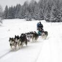 Mark Cope - @MarkCope5 - Twitter