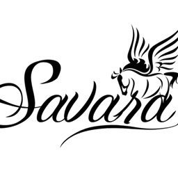 Quest for Equestrian Excellence