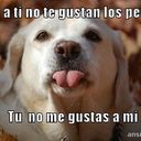 Leo Benítez - @leito7705 - Twitter