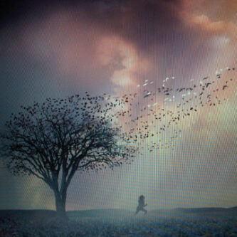 thelastmoments's profile picture. Don't worry about things that happen in life! Face them and solve the problems! Followback? Please wait okay? :] xoxo ♥