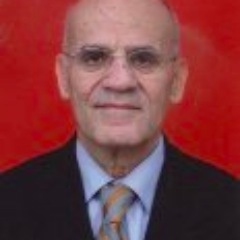 CEO 0f The Palestinian Institute for Research And Development Studies
Former Deputy Minister Of Health of the Palestinian Authority