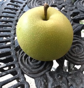 梨山からこんにちは！ 草花が好き、食べ物が大好き 、前期高齢者です。