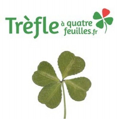 Trefle 4 Feuilles Trefleqfeuilles Twitter Trefle 4 Feuilles Trefleqfeuilles Twitter