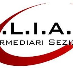 Unione Liberi Intermediari di Assicurazione  Sezione E