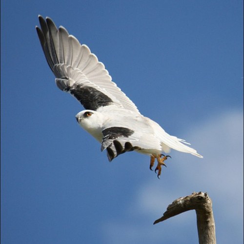 VisualElements's profile picture. I love to know why. What makes art appeal to some and not others, why are some old novels classics, and whatever happened to story lines in movies...