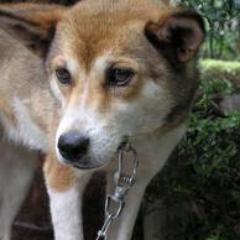 脱サラして専業トレーダーみたいなことしとります＾＾
嫁に息子一人養う為に修行中ですｗｗｗ