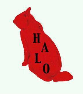 HALO