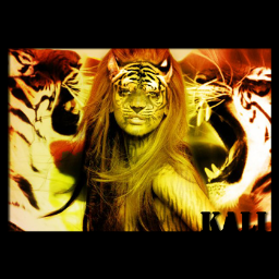 KaliArtistiK's profile picture. KaliArtistik travail en temps que photographe (tee shirt Rap Chien de Guerre, mariage, portrait), comme retoucheuse photoshop ( cover, finition prise de vue)