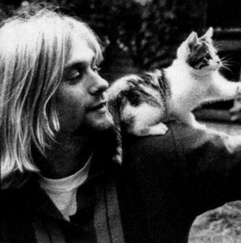 I like roadtrips, camping, hiking, photography, live music. I really like Van Gogh, Nirvana and Kurt, Hunter S. Thompson, Ralph Steadman, and Lewis Carroll.