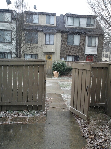 lil_coko's profile picture. 