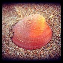 Todd Chase - @ToddChase548 - Twitter