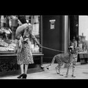 leyla fay morgan - @Leyla_fay - Twitter