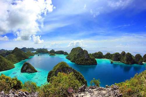 dh4nds's profile picture. Just Ordinary...nothing special