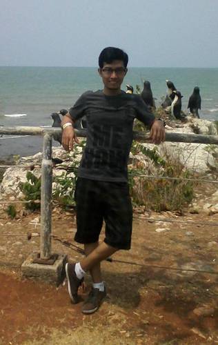 aris12leo's profile picture. 