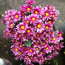 Willie Gregg - @WillieGregg878 - Twitter