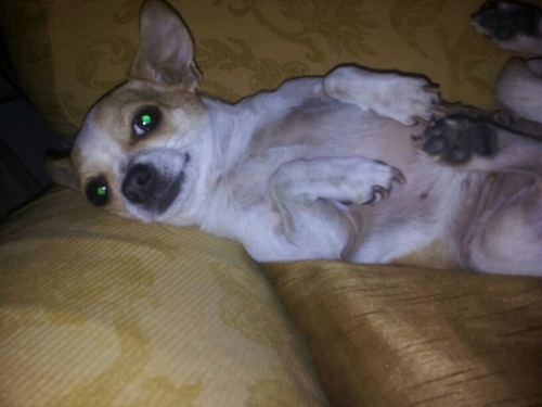 alessiopalumbo9's profile picture. 