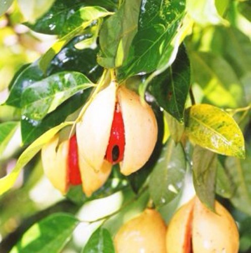 Leathangrant's profile picture. 