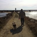 Matthew Buono - @mattbuono1 - Twitter