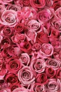 hnan1171's profile picture. 