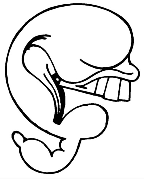 Drawing ideas digitally for hand-drawn purposes.