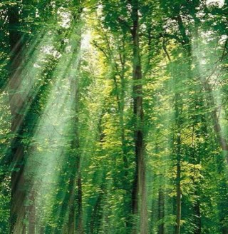 JenjicaGraham's profile picture. 